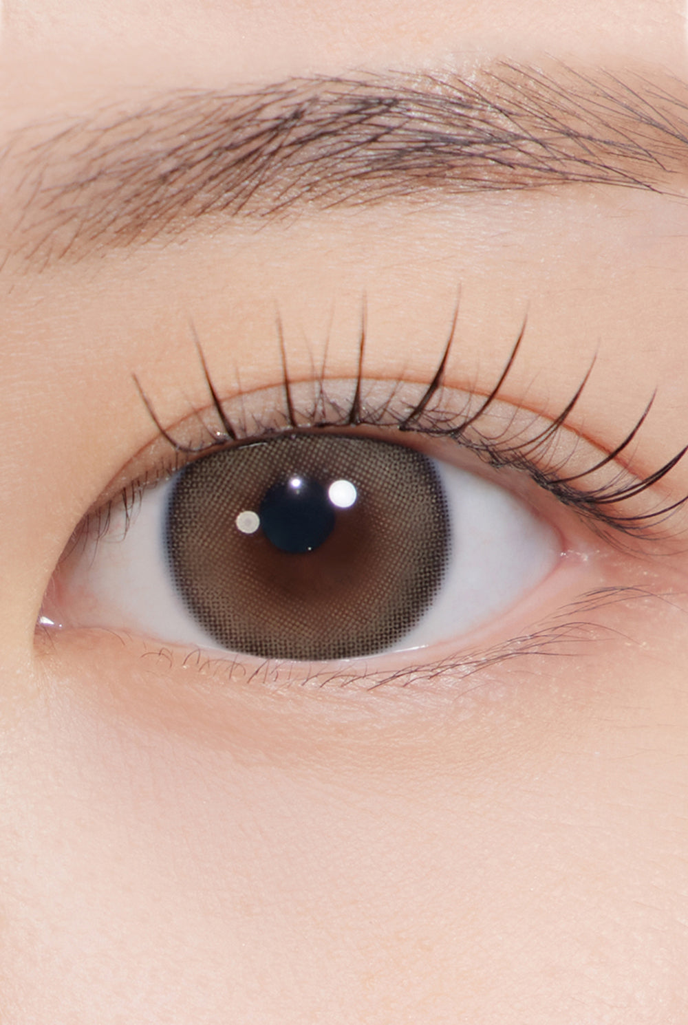 その他 For Kristen Kristen A To Z Kristin 1Day (13.9) - Brown (2pcs) | Hapa Kristin South