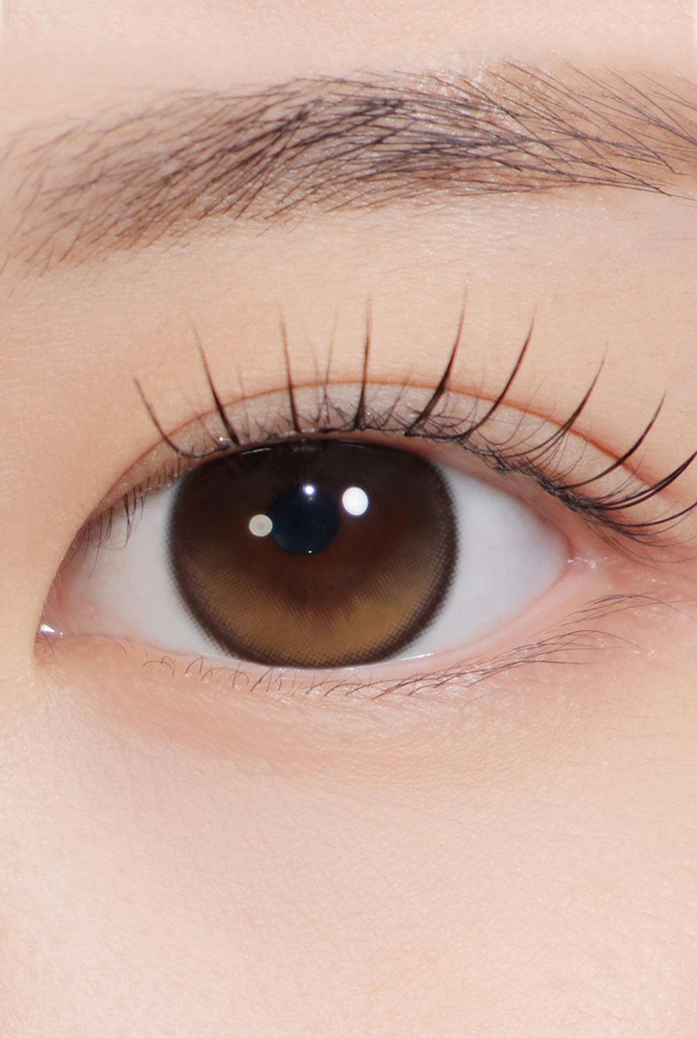 IAM＊シークレット Secretive Kristin Big Plus (13.8) - Brown | Hapa Kristin South