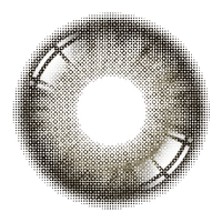 One&Only Kristin 1Day - Gray (2pcs) lens