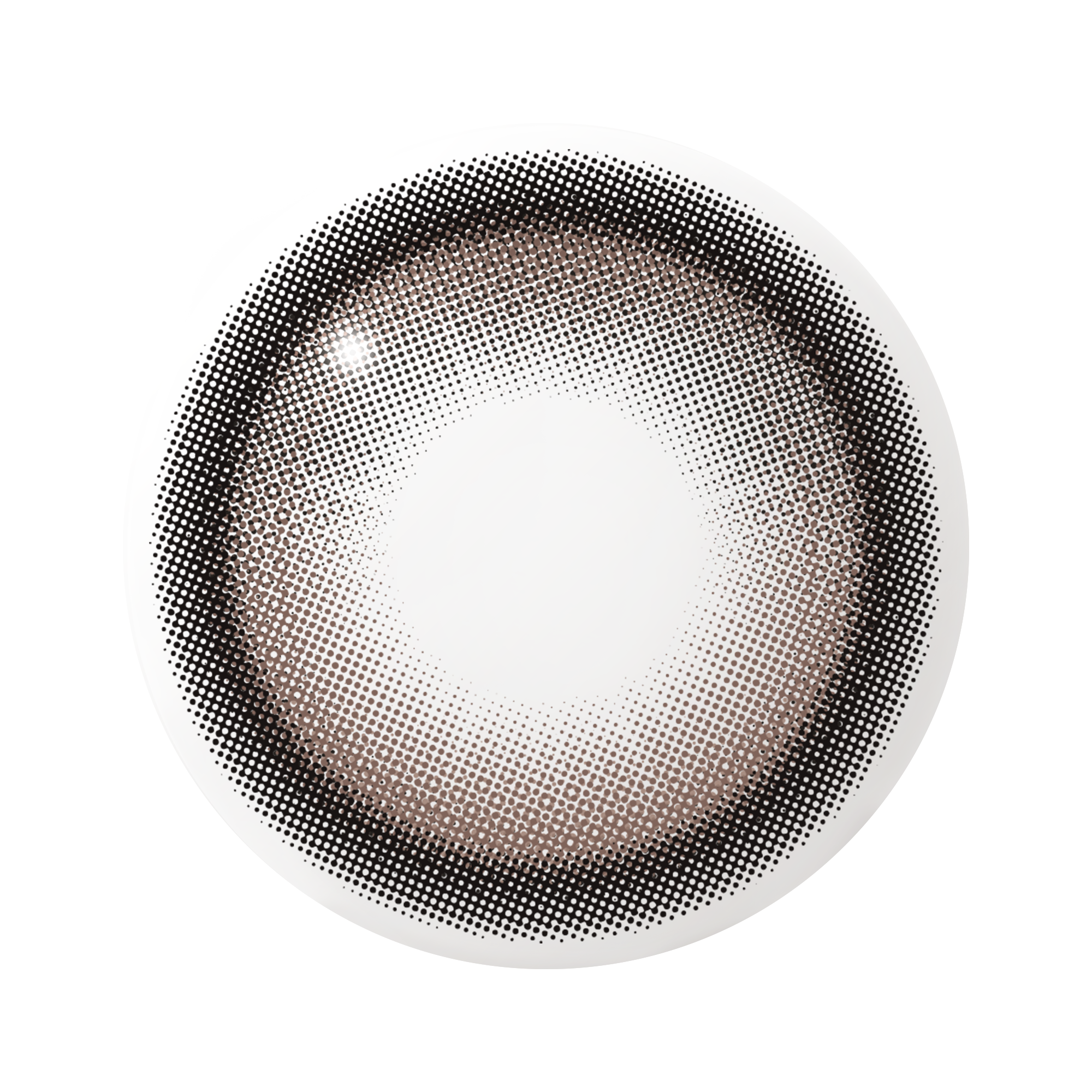 Cat-titude Kristin 1Day - Choco Paw